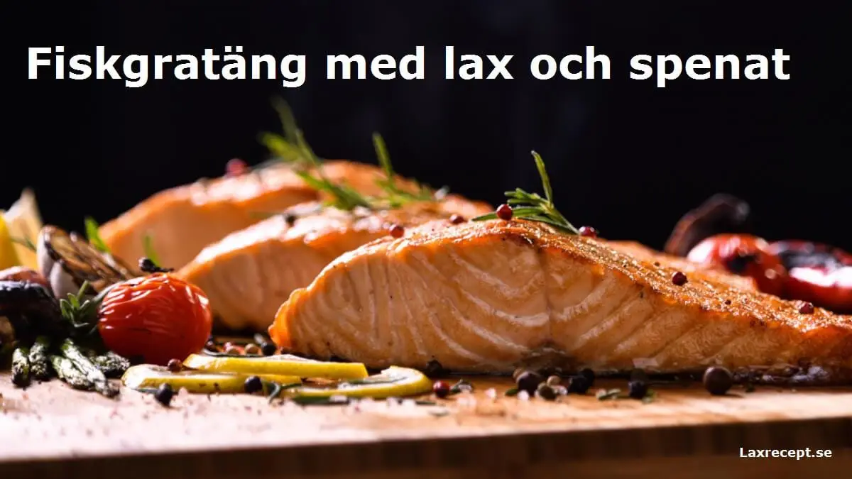 Fiskgratäng med lax och spenat