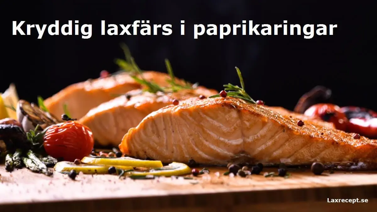 Kryddig laxfärs i paprikaringar