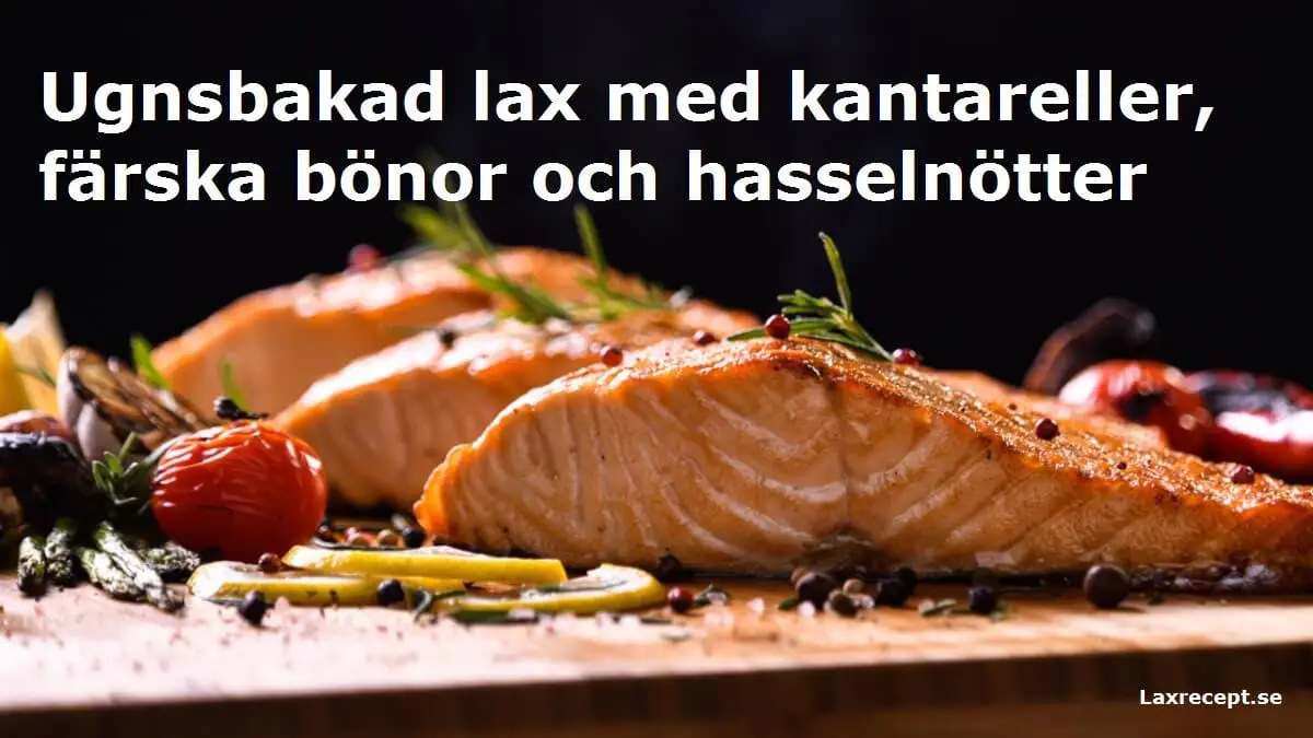 Ugnsbakad lax med kantareller, färska bönor och hasselnötter
