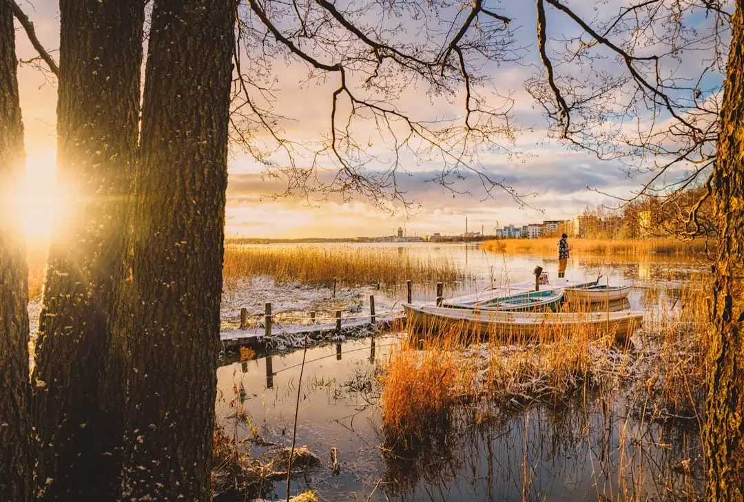 Vad kan jag fiska för fiskar i Östersjön? illustration